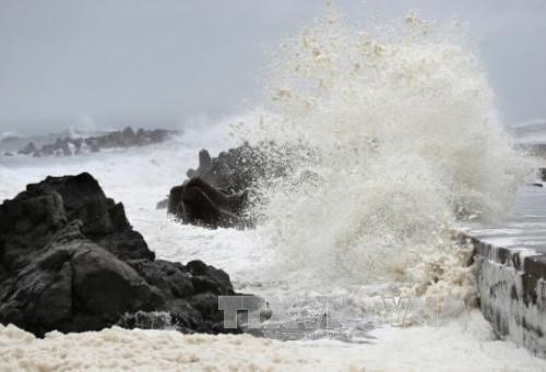 Up to 13 tropical storms, depressions to enter East Sea this year