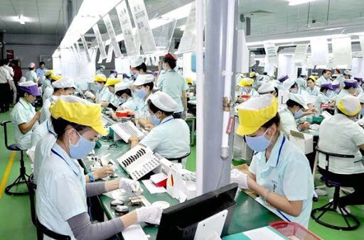 Vietnamese labourers with expired contracts in RoK entitled for 50-day extension
