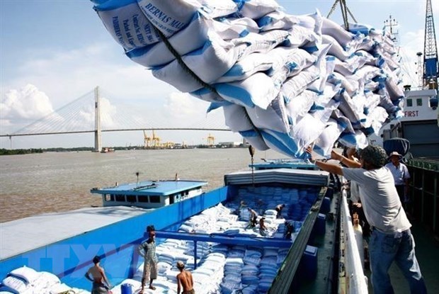 Inspection team set up to check rice volume stuck at ports hinh anh 1