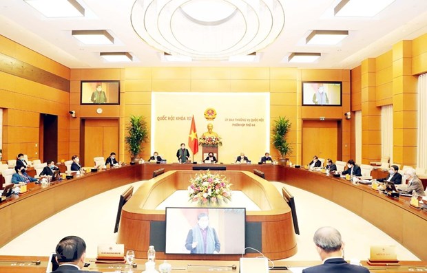 NA Standing Committee debates draft resolution on development in Da Nang hinh anh 1