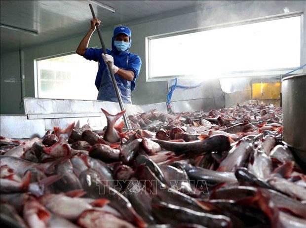 US cuts anti-dumping taxes on Vietnamese catfish products hinh anh 1