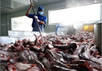 US cuts anti-dumping taxes on Vietnamese catfish products