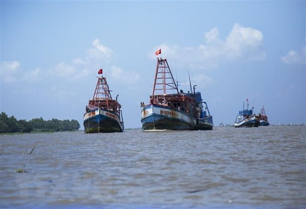 Fisheries Society opposes Chinese fishing bans in East Sea hinh anh 1