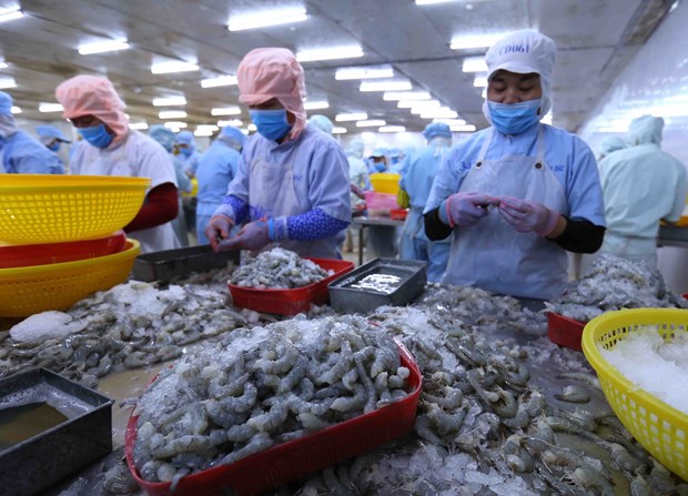 Ministry extends period selecting prestigious exporters 2019 hinh anh 1