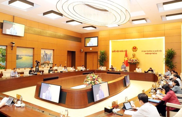 NA Standing Committee mulls two draft reports hinh anh 1