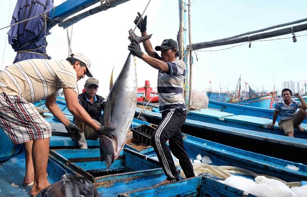 Ministry: China’s suspension of fishing in Vietnam’s waters meaningless hinh anh 1