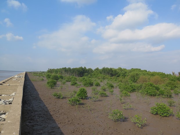 EU, French agency support Vietnam’s resilience to climate change, COVID-19 hinh anh 1