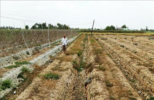 Mekong Delta province faces severe water shortage