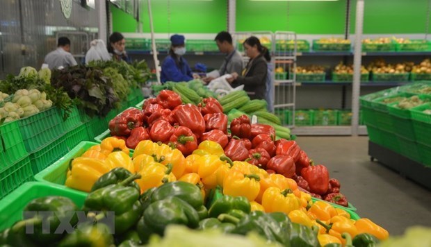 US becomes Vietnam’s largest supplier of fruits, vegetables hinh anh 1