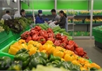 US becomes Vietnam’s largest supplier of fruits, vegetables