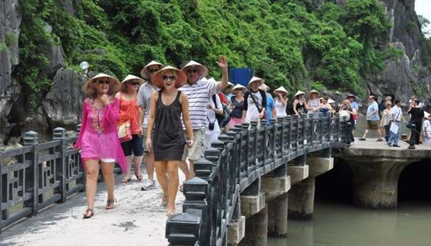 Vietnam yet to open door to all foreign tourists hinh anh 1