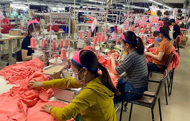 Garment exports forecast to plummet due to lack of orders hinh anh 1
