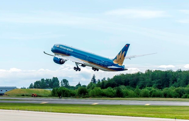 Vietnam Airlines resumes all domestic flights hinh anh 1
