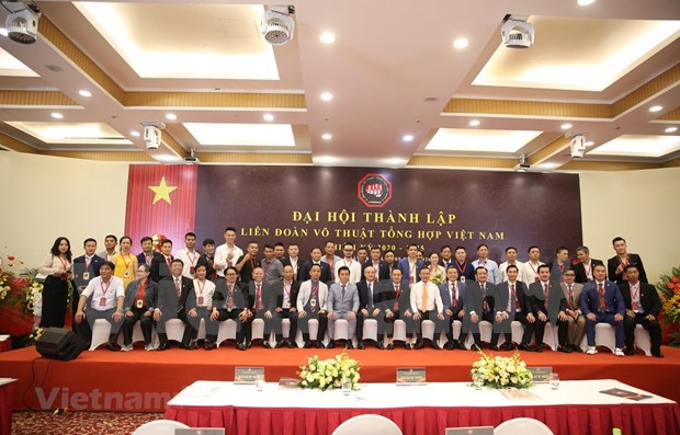 Vietnam Mixed Martial Arts Federation debuts hinh anh 1
