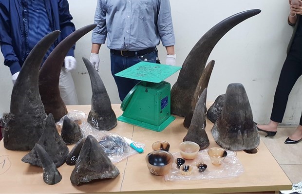 Man imprisoned for trafficking rhino horns