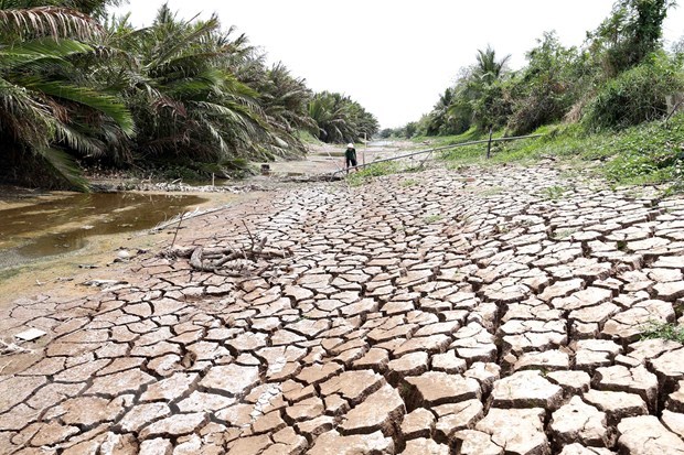 German experts studying Mekong River water management hinh anh 1