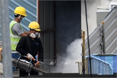 Singapore faces strong dengue fever outbreak