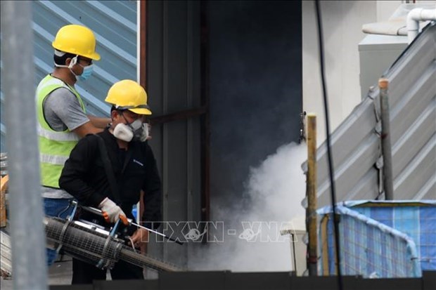 Dengue infections in Singapore surge past 10,000 mark hinh anh 1