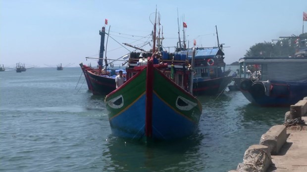 Vietnam requests China to investigate incident related to Vietnamese fishing vessel in Hoang Sa hinh anh 1