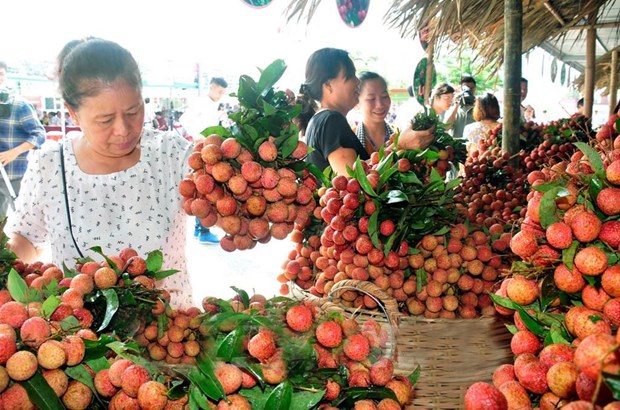 Vietnam's veggie, fruit exports exceed US$1.5 billion in H1