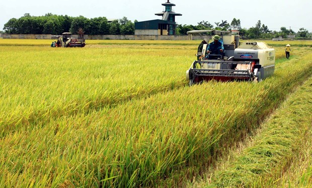 vietnam-eyes-place-in-world-s-top-10-farm-produce-processing-hubs