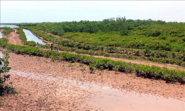 Wetland nature reserve founded in Thai Binh province hinh anh 1