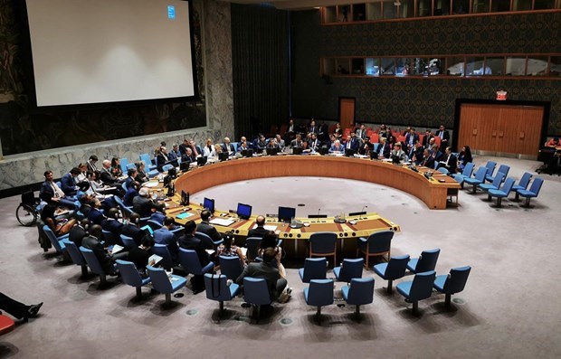 UN Security Council adopts Vietnamese-compiled resolution
