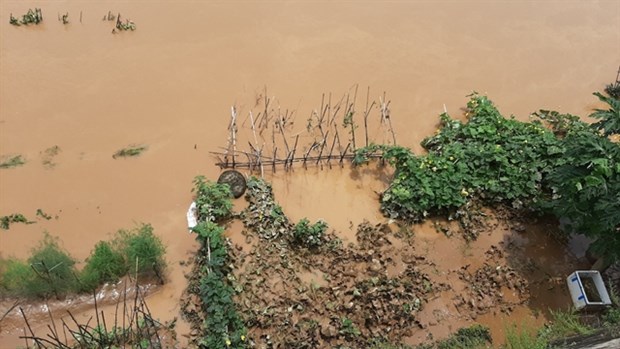 Northern Lao Cai province hardest hit by heavy rain hinh anh 1