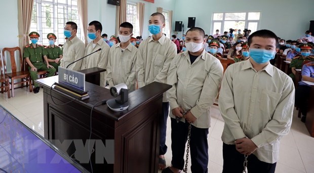 Illegal immigration organisers sent to prison hinh anh 1