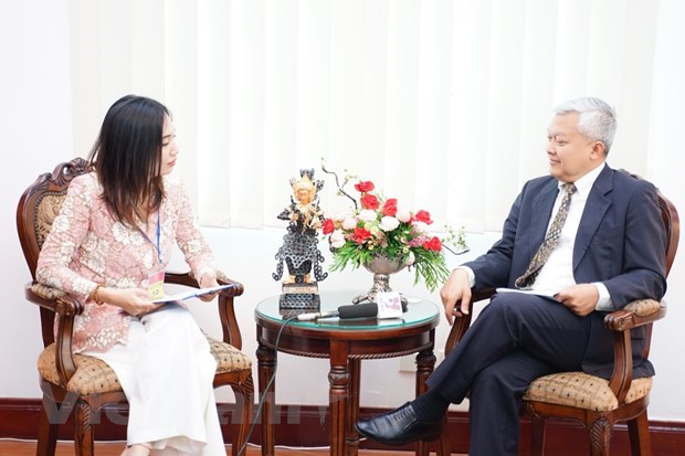 Vietnam maintains ASEAN cooperation process despite pandemic: Indonesian ambassador hinh anh 1