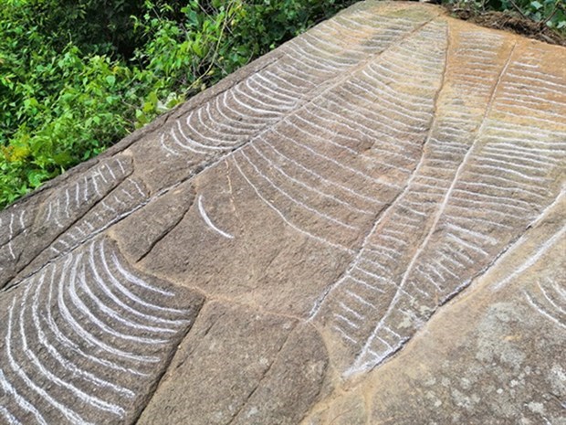 More ancient slabs with engravings of terraced fields found in Yen Bai