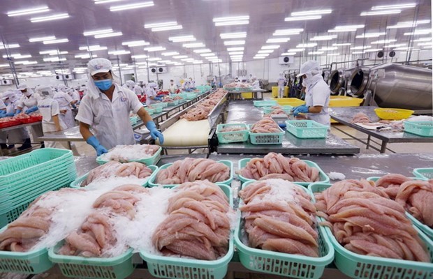 EVFTA brings new impetus for Vietnam’s fishery exports hinh anh 1