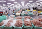 EVFTA brings new impetus for Vietnam’s fishery exports