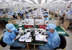 Vietnam's economic recovery forecast to be on track