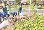 HCM City reaches 12 of 18 pollution-reduction goals
