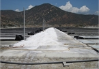 Ninh Thuan to become country’s top salt producer