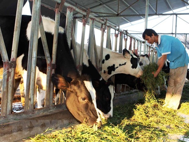 Husbandry to undergo modernisation