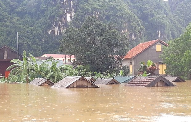 Natural disasters cause economic losses of over 215 million USD this year hinh anh 1