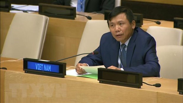 Vietnam, Indonesia call for comprehensive approach to issues in Mali hinh anh 1