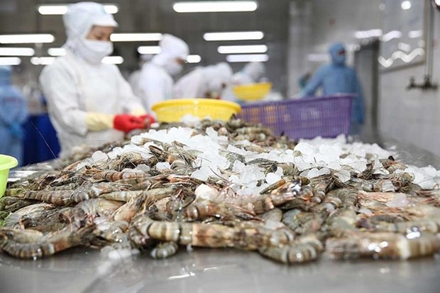 Minh Phu opposes US anti-dumping duty on frozen shrimp hinh anh 1