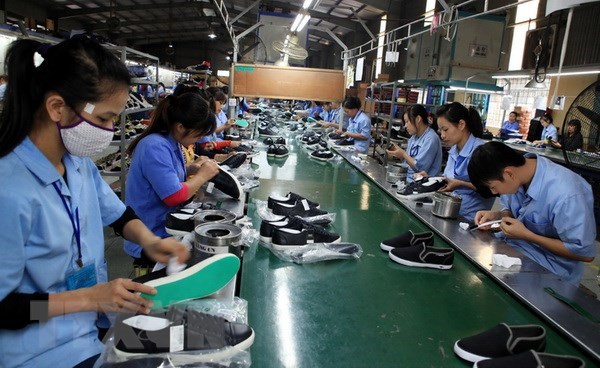 Leather, footwear exports predicted to recover in Q4 hinh anh 1