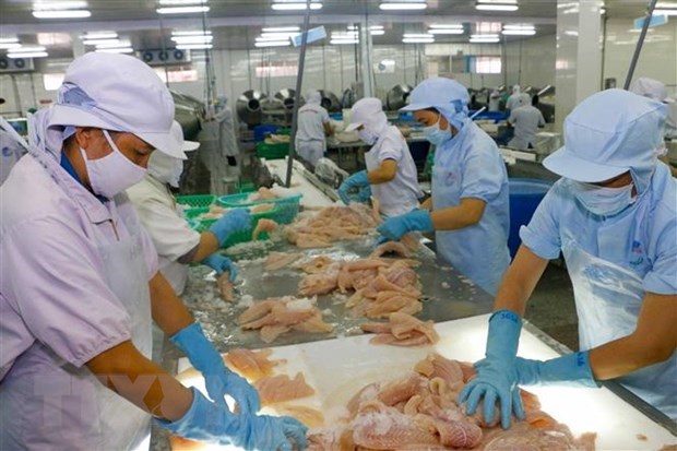 Vietnam needs seafood solutions hinh anh 1