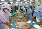 Vietnam needs seafood solutions