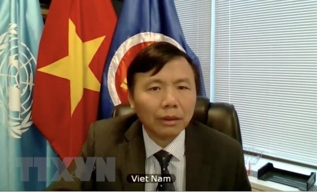 Vietnam backs peace progress led by Afghans: Ambassador hinh anh 1