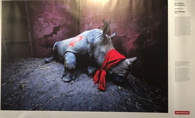 World Press Photo Exhibition 2020 opens in Hanoi hinh anh 1