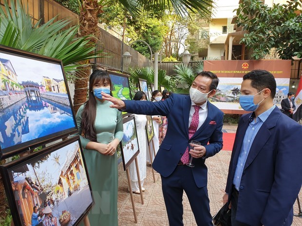 Vietnamese culture promoted in Egypt hinh anh 1