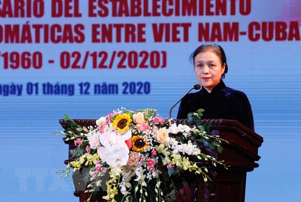 Vietnam treasures solidarity, friendship with Cuba: Deputy PM hinh anh 2