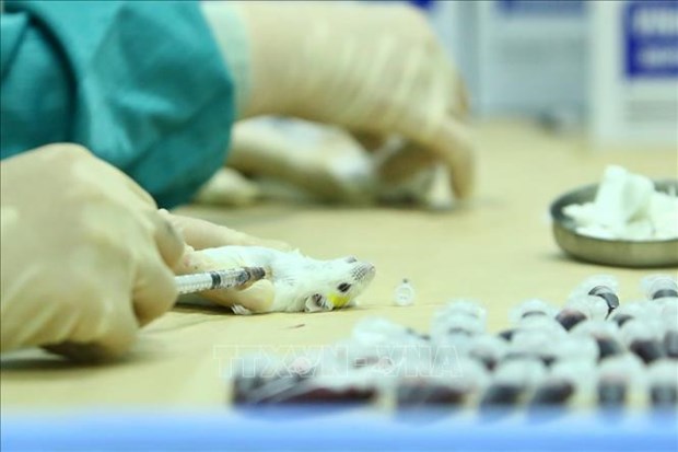 Local COVID-19 candidate vaccine to be trialled on humans from December 17 hinh anh 1