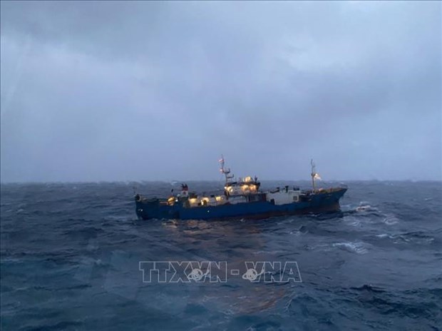 Disabled Russian cargo vessel towed ashore by Vietnamese navy hinh anh 1