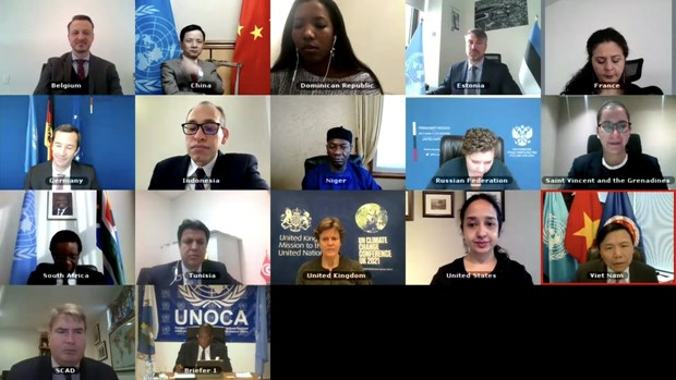 Vietnam, Indonesia stress regional cooperation’s role in keeping peace in Central Africa hinh anh 1